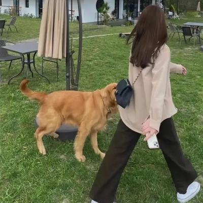 嫂夫人粤语